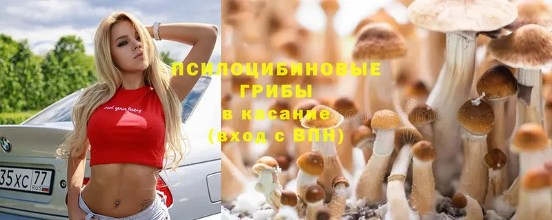 Галлюциногенные грибы Magic Shrooms  Озёрск 